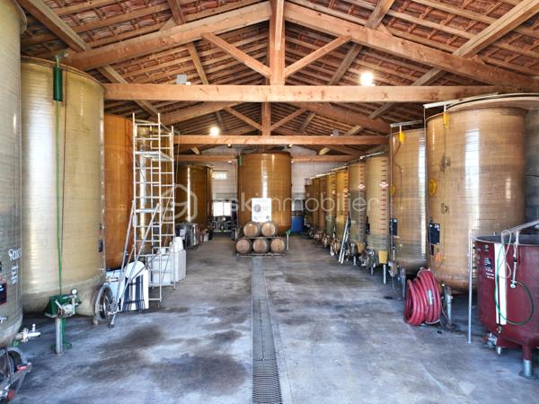 EN EXCLUSIVITÉ — DOMAINE D'EXCEPTION

Beauvoisin (Gard) — 8 ha dont près de 7 ha de vignes

Un lieu rare. Un domaine comme on n'en trouve plus.

Niché au cœur des vignes de la Costière, ce domaine d'environ 8 hectares se déploie en trois univers complémentaires, pensés aussi bien pour un projet de vie que pour une activité professionnelle à fort potentiel.

Un espace événementiel hors du commun : 
Une salle de réception d'environ 250 m² entièrement aménagée, avec scène, éclairage professionnel et décoration soignée jusqu'au moindre détail. Mariages, séminaires, concerts, spectacles — le lieu s'y prête naturellement. Elle s'ouvre sur une terrasse couverte d'environ 145 m², prolongée par plusieurs espaces extérieurs paysagés : allées, tonnelle, terrasse de dégustation sous les parasols en paille… Un cadre provençal authentique qui séduit au premier regard.

Un outil de production viticole complet : 
Près de 7 hectares de vignes en pleine production, un chai équipé de cuves en résine et fûts de chêne, un espace de dégustation et des bureaux. Tout est en place pour continuer ou développer une activité viticole dans les meilleures conditions.

Deux habitations privées indépendantes : 
Deux logements séparés avec jardins arborés et fleuris, terrasses, cuisine d'été,piscine à débordement...

Un cadre de vie paisible, entouré de vignes à perte de vue.
Ce domaine recèle encore bien d'autres surprises, que seule une visite permet de révéler.

Un bien comme celui-ci ne se décrit pas, il se vit.