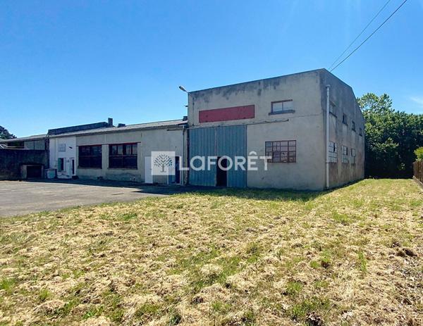 Achat local commercial Castelsarrasin - 520 m² - 176 500 €