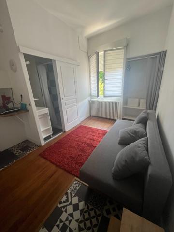 Ensemble immobilier atypique de 2 maisons non mitoyennes avec jardin et piscine et un immeuble avec rentabilité locative