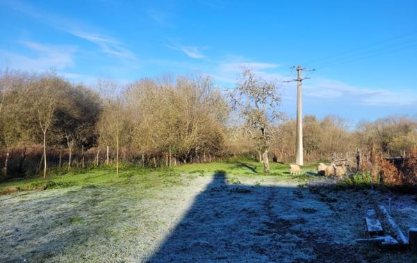 Vente Maison De campagne Archignat   