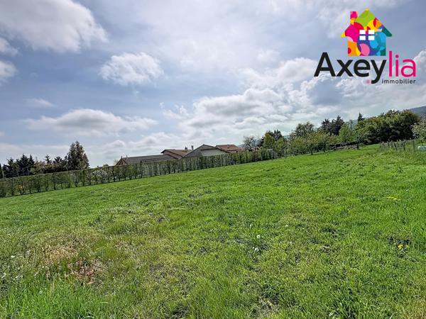 Renaison (42370) A VENDRE - RENAISON - TERRAIN CONSTRUCTIBLE ET PLAT DE 1288M2 EN PARTIE VIABILISÉ