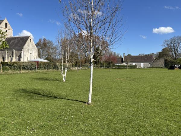 Terrain à bâtir - 1030m2 MOSLES