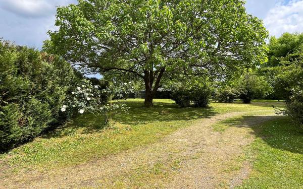 Maison à vendre    5 pièces •  Tartas