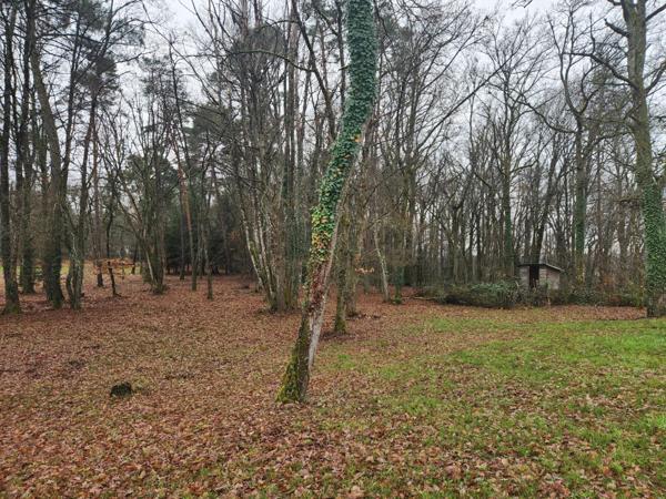 Maison à CHANCELADE, 24650 - 5 pièces 263m²