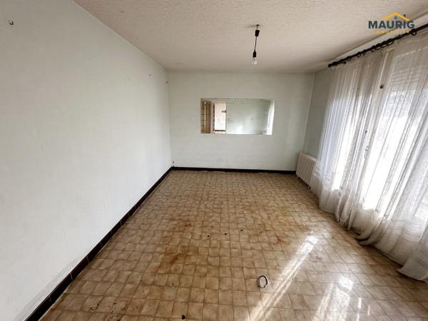 TONNEINS - MAISON 107M² -3 CHAMBRES jardin 2046m²