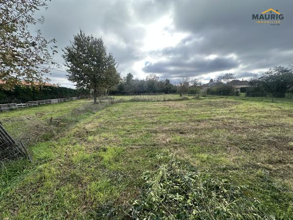 TONNEINS - MAISON 107M² -3 CHAMBRES jardin 2046m²