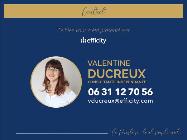 Maison 8 pièces - 400 m² Bien prestige