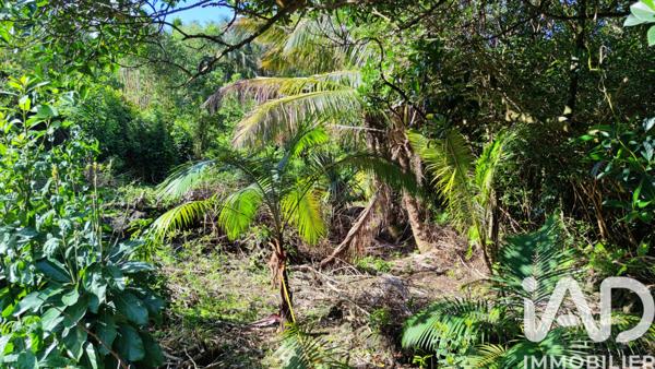 Terrain à vendre 439 m² Saint-Philippe