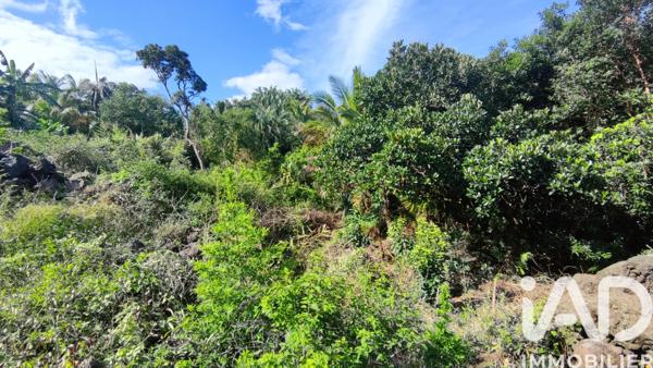 Terrain à vendre 439 m² Saint-Philippe