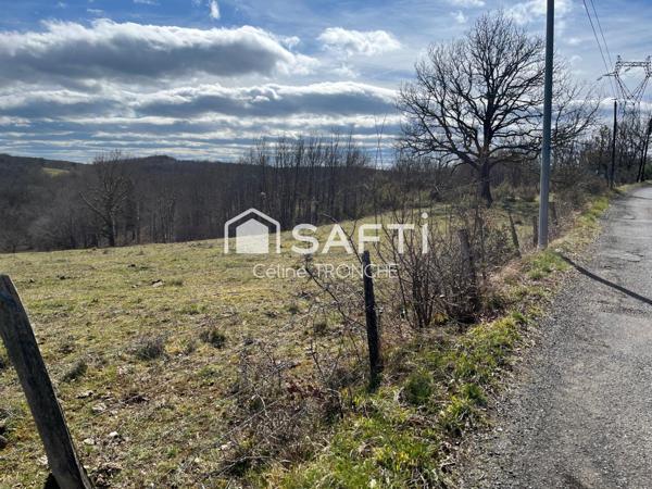 Terrain constructible