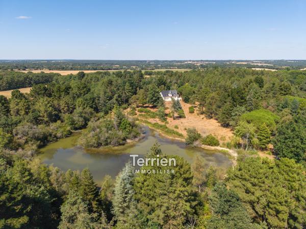 Maison 212m2 avec bois et étang Savennières (49170)