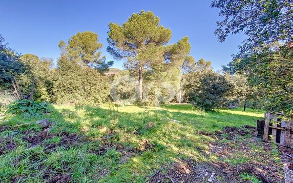 Maison à vendre    8 pièces •  Roquebrune-sur-Argens