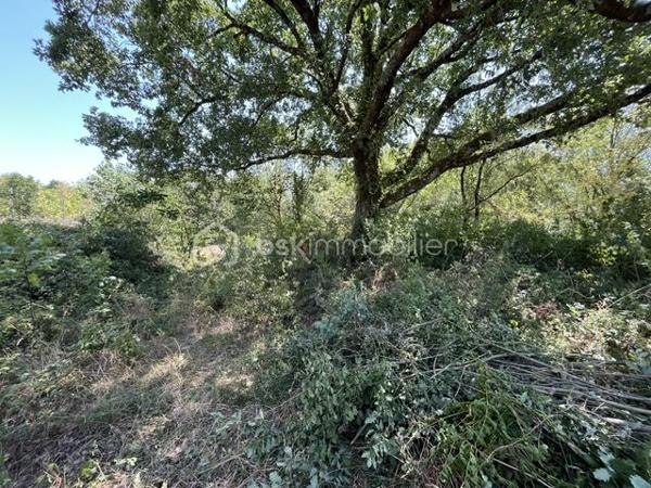 Beau terrain viabilisé de 1410 m² en bout d'impasse dans petit lotissement de 8 maisons.
Proche commerce, 10 mn du centre ville. Bois en bordure. Accès rocade rapide.
A voir rapidement