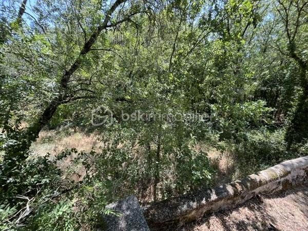 Beau terrain viabilisé de 1410 m² en bout d'impasse dans petit lotissement de 8 maisons.
Proche commerce, 10 mn du centre ville. Bois en bordure. Accès rocade rapide.
A voir rapidement