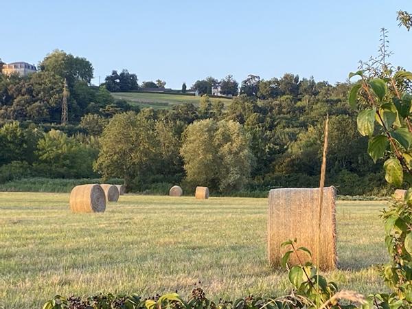 Ensemble immobilier sur près de 4ha de terrain , Ensemble immobilier sur près de 4ha de terrain ,