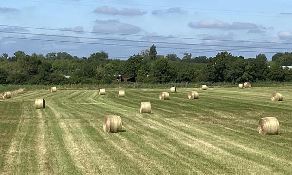 Ensemble immobilier sur près de 4ha de terrain , Ensemble immobilier sur près de 4ha de terrain ,