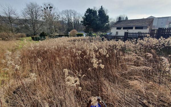 Terrain à vendre    Creutzwald