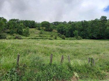Terrain de loisirs - Bois - Etang à vendre à Laveissière dans le Cantal (15300), ref : #TriGNeg/2074