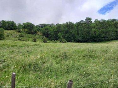 Terrain de loisirs - Bois - Etang à vendre à Laveissière dans le Cantal (15300), ref : #TriGNeg/2074