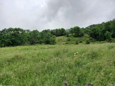 Terrain de loisirs - Bois - Etang à vendre à Laveissière dans le Cantal (15300), ref : #TriGNeg/2074