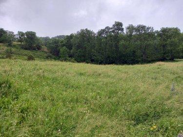 Terrain de loisirs - Bois - Etang à vendre à Laveissière dans le Cantal (15300), ref : #TriGNeg/2074