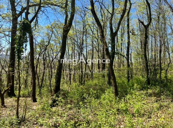 Terrain à CHANCELADE, 24650 - 4563m²
