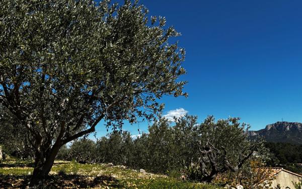 Maison à vendre    4 pièces •  Roquevaire