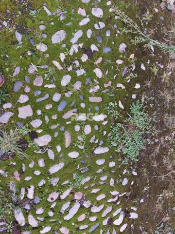 Bernac-Debat (65360) Maison / Ferme de village