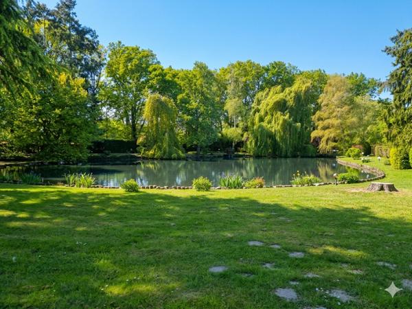 Magnifique petite propriété avec son etang