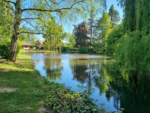 Magnifique petite propriété avec son etang