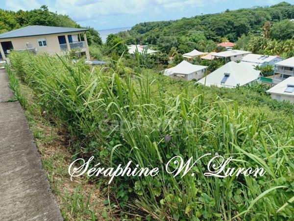 Terrain à vendre de 4060,00 m² LA TRINITE (972) - 270000 €