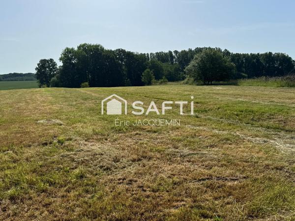 WALY 55250, Pavillon de plain-pied non mitoyen sur sous-sol.