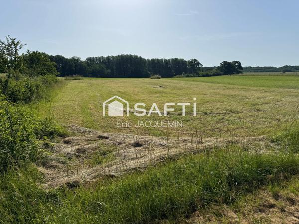 WALY 55250, Pavillon de plain-pied non mitoyen sur sous-sol.