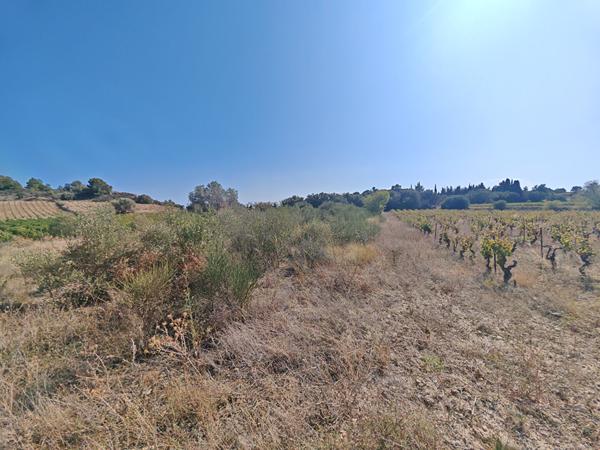 Terrain 8880 m2