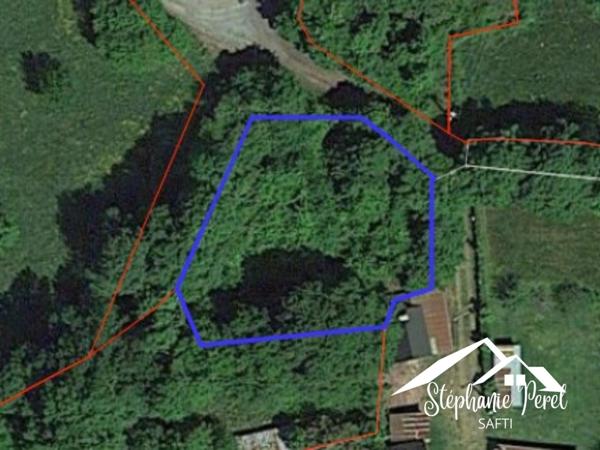 Terrain dans un coin de nature préservée