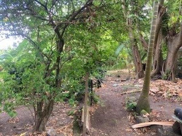 Maison ancienne en pierre en plein centre ville bénéficiant d'un jardin à l'arrière