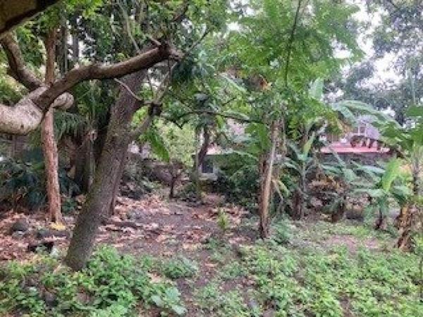 Maison ancienne en pierre en plein centre ville bénéficiant d'un jardin à l'arrière