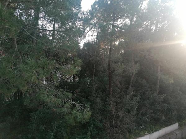 Appartement à vendre    3 pièces • 35,14 m2 Saint-Georges-de-Didonne