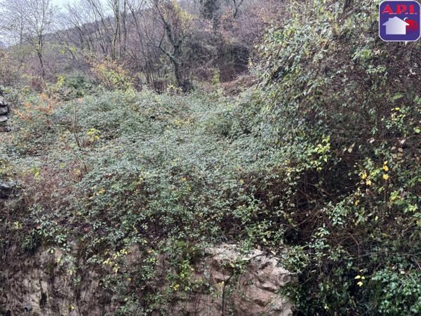 Achat vente Maison Saint Martin de Caralp