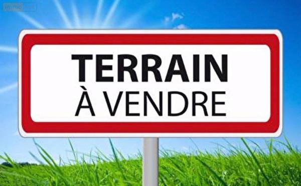 Terrain à Batir à vendre à Saint-Denis-de-Pile en Gironde (33910), ref : 11633/510