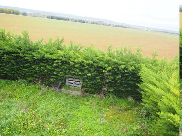 Maison jumelée de 2007