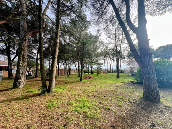 Carcassonne (11000) Near Carcassonne - Single-storey architect villa with pool and 3,700 sqm landscaped garden