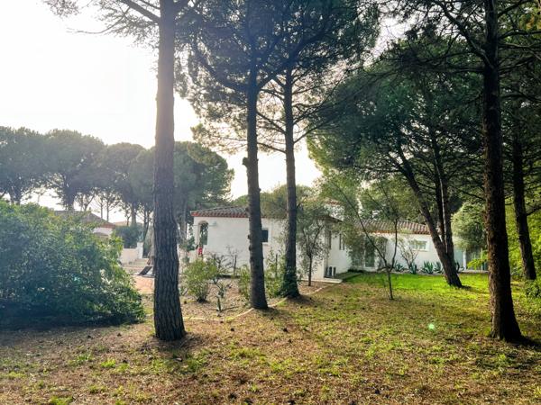 Carcassonne (11000) Near Carcassonne - Single-storey architect villa with pool and 3,700 sqm landscaped garden