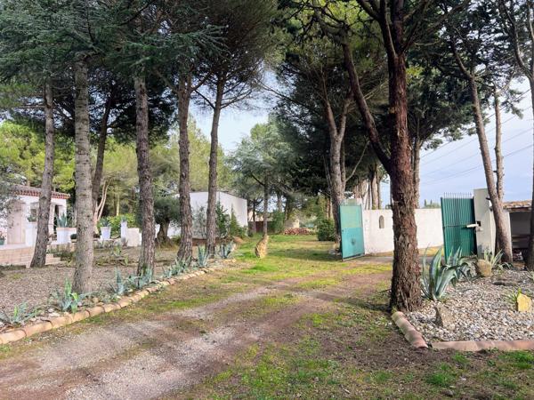 Carcassonne (11000) Near Carcassonne - Single-storey architect villa with pool and 3,700 sqm landscaped garden