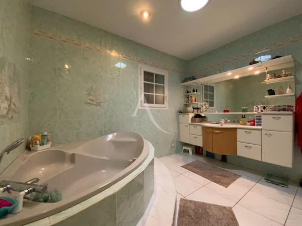 Maison Saint-savinien 9 pièce(s) piscine et local professionnel