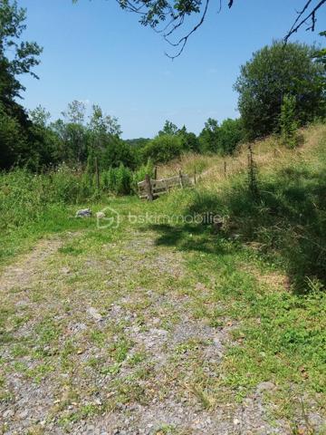 Terrain de 3 117 m²