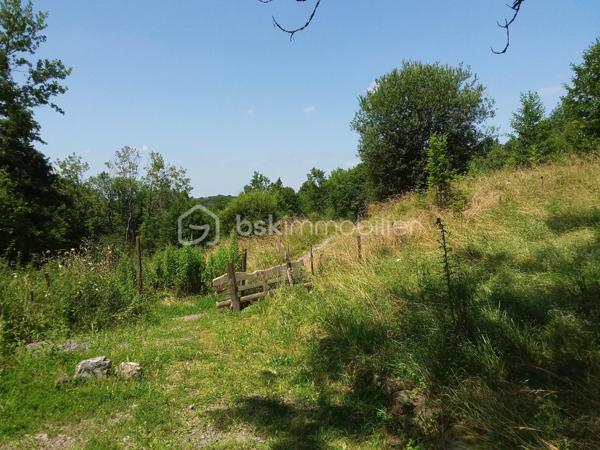 Terrain de 3 117 m²