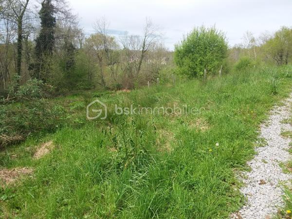 Terrain de 3 117 m²