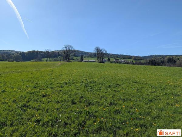 Terrain à bâtir