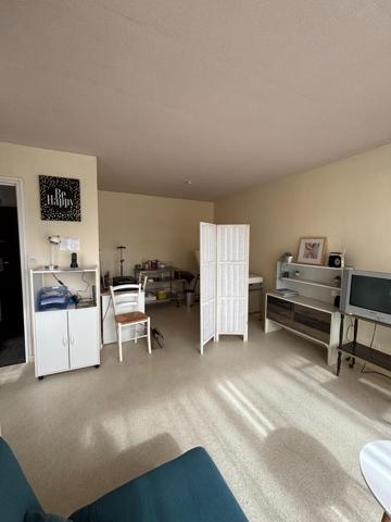 Appartement à LE MANS, 72000 - 1 pièce 33m²